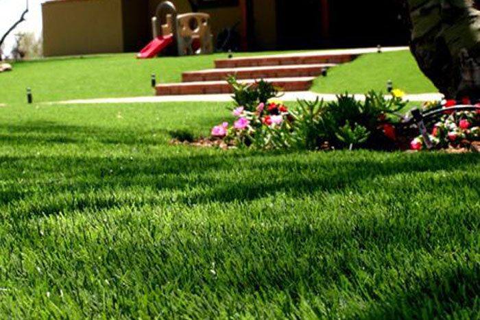 Green Fake Grass in Yard (photo)