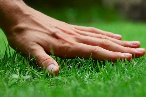 Finding The Best Artificial Grass | BestFakeGrasses.com