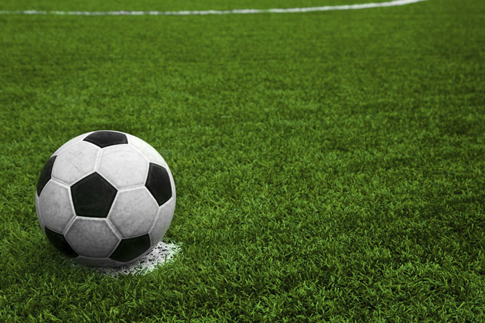 Soccer Ball on Fake Grass (foto)