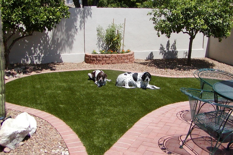 Dogs Sitting on Pet Zen Garden Premium Synthetic Grass