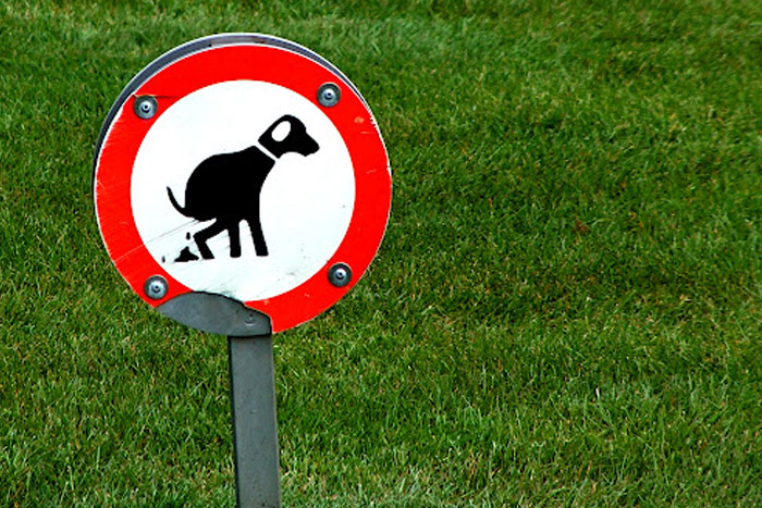 sign for dogs on fake grass (photo)