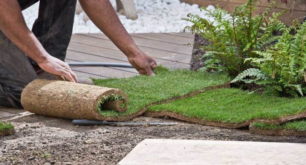 How To Install Artificial Grass On Dirt 1024x555 