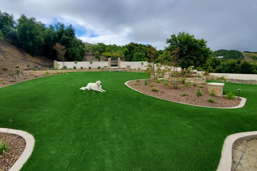The Best Artificial Grass for Backyards (photo)