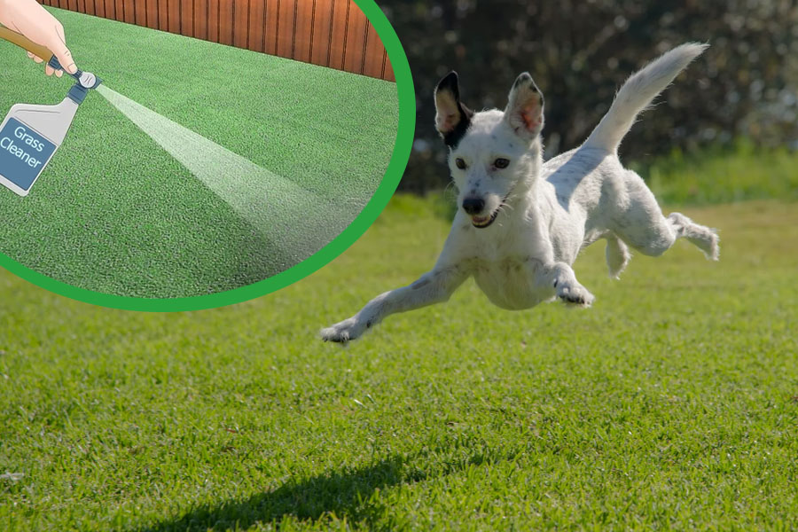 how to clean fake grass for dog owners (photo)