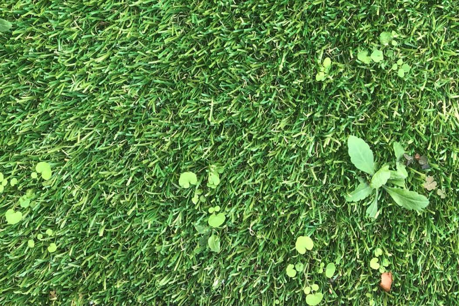 How to get rid of weeds and plants on fake grass (photo)